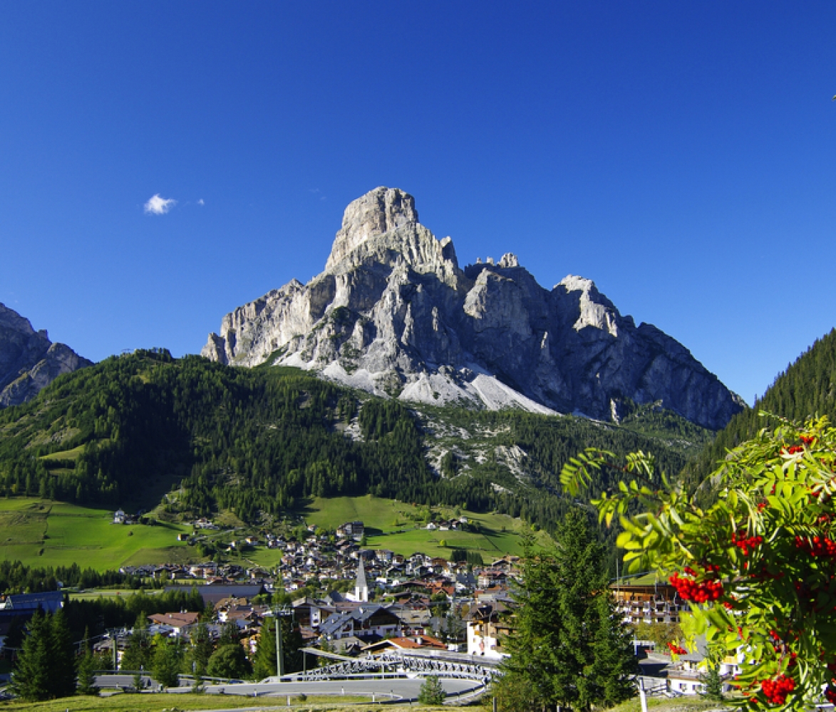 Almabtrieb In Tirol